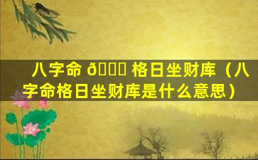 八字命 💐 格日坐财库（八字命格日坐财库是什么意思）